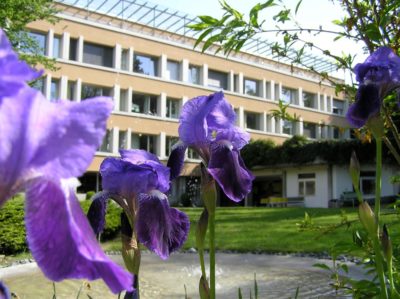 Café Frühling.jpg